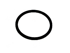 253985 GASKET OR 3137 фото 1