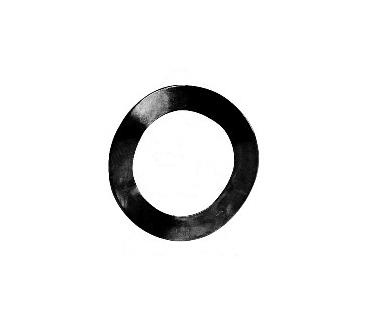 128381800 CRINKLE WASHER 21,8X15,8X0,2 фото 1