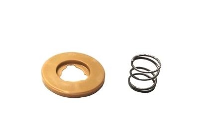 253502 PISTON VALVE+SPRING фото 1