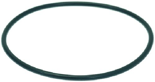 095805 GASKET O-RING
