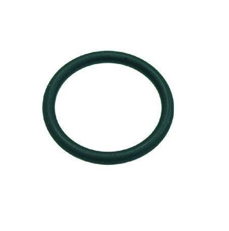 10063120 O-RING 4162