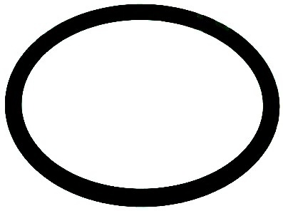 17000006A GASKET O-RING 3131