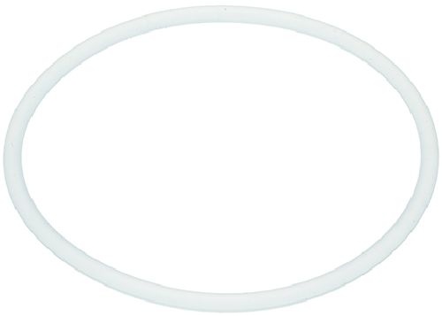 098701-1 GASKET storng 