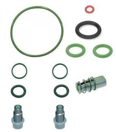 SNWEk21 Revisionsset Colibri