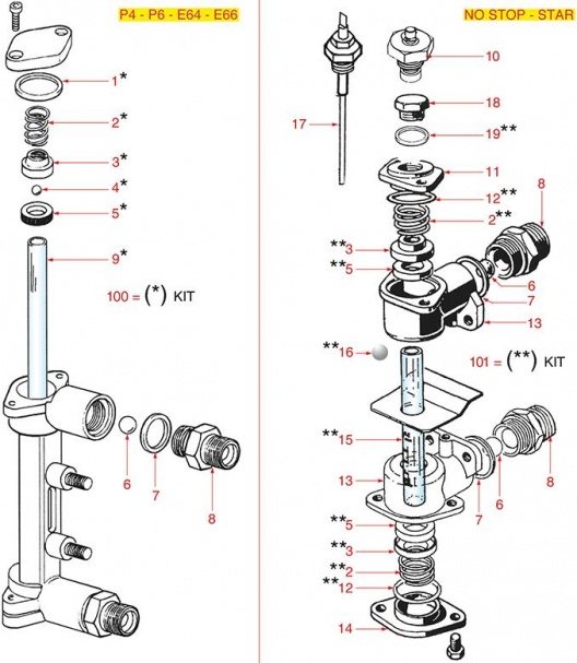 P4-P6-E64-E66-NONSTOP-STAR